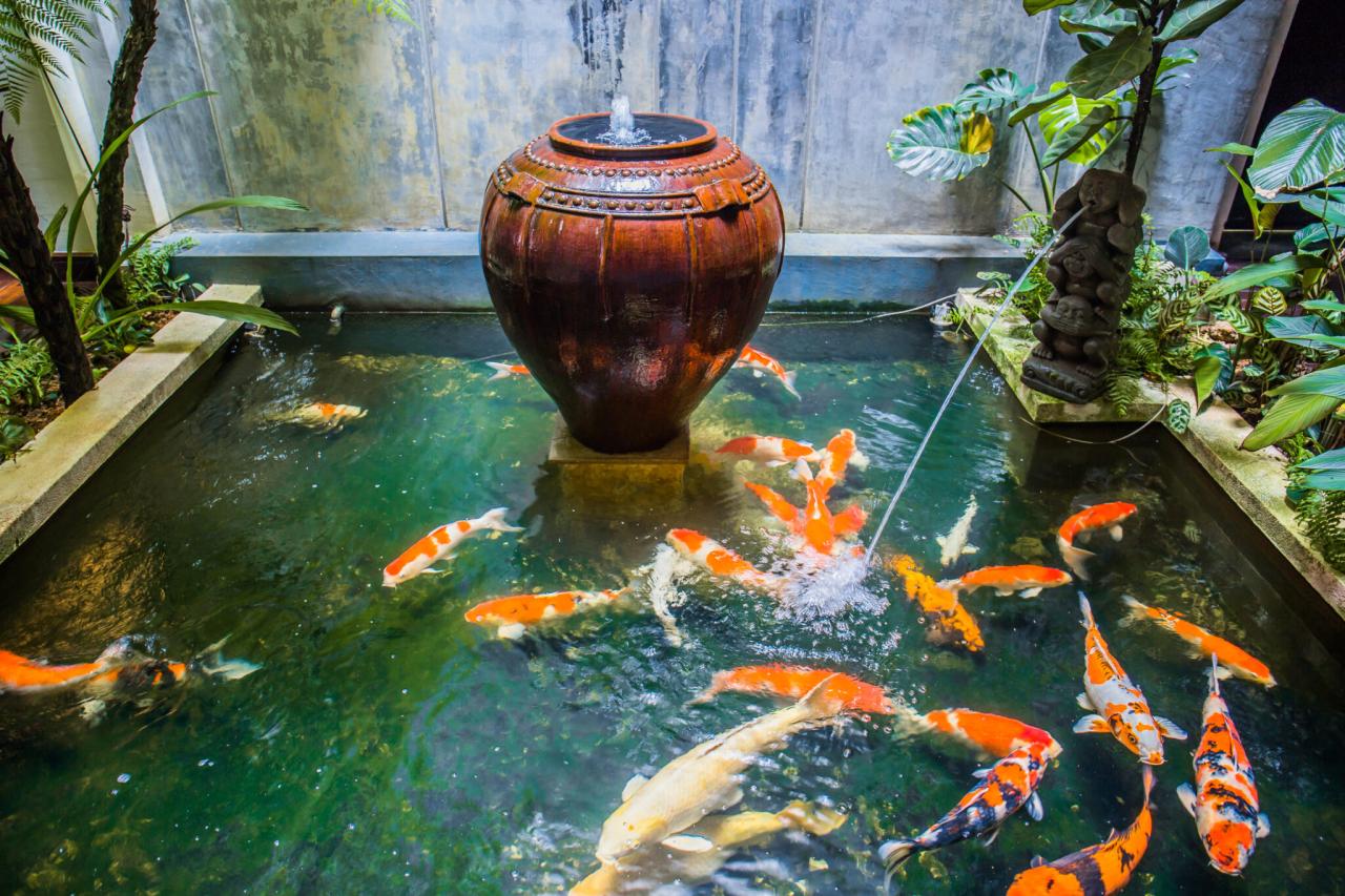Pond koi Indoor water features