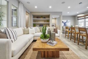 Neutral color interiors